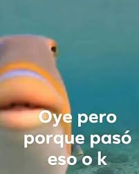 memazo