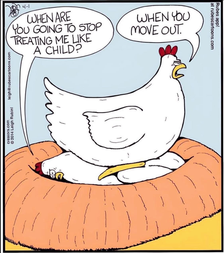 Posted media